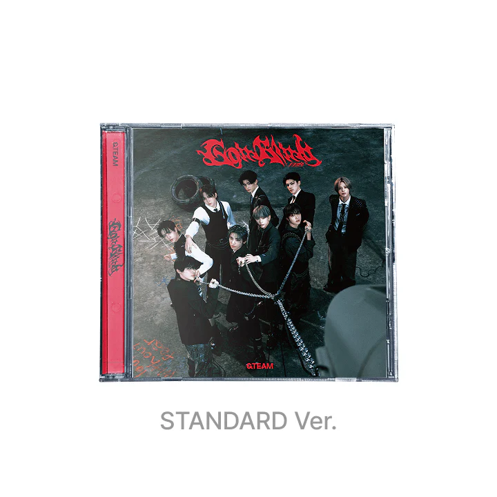 &TEAM - Go In Blind - Japan 3rd single album - Image 2