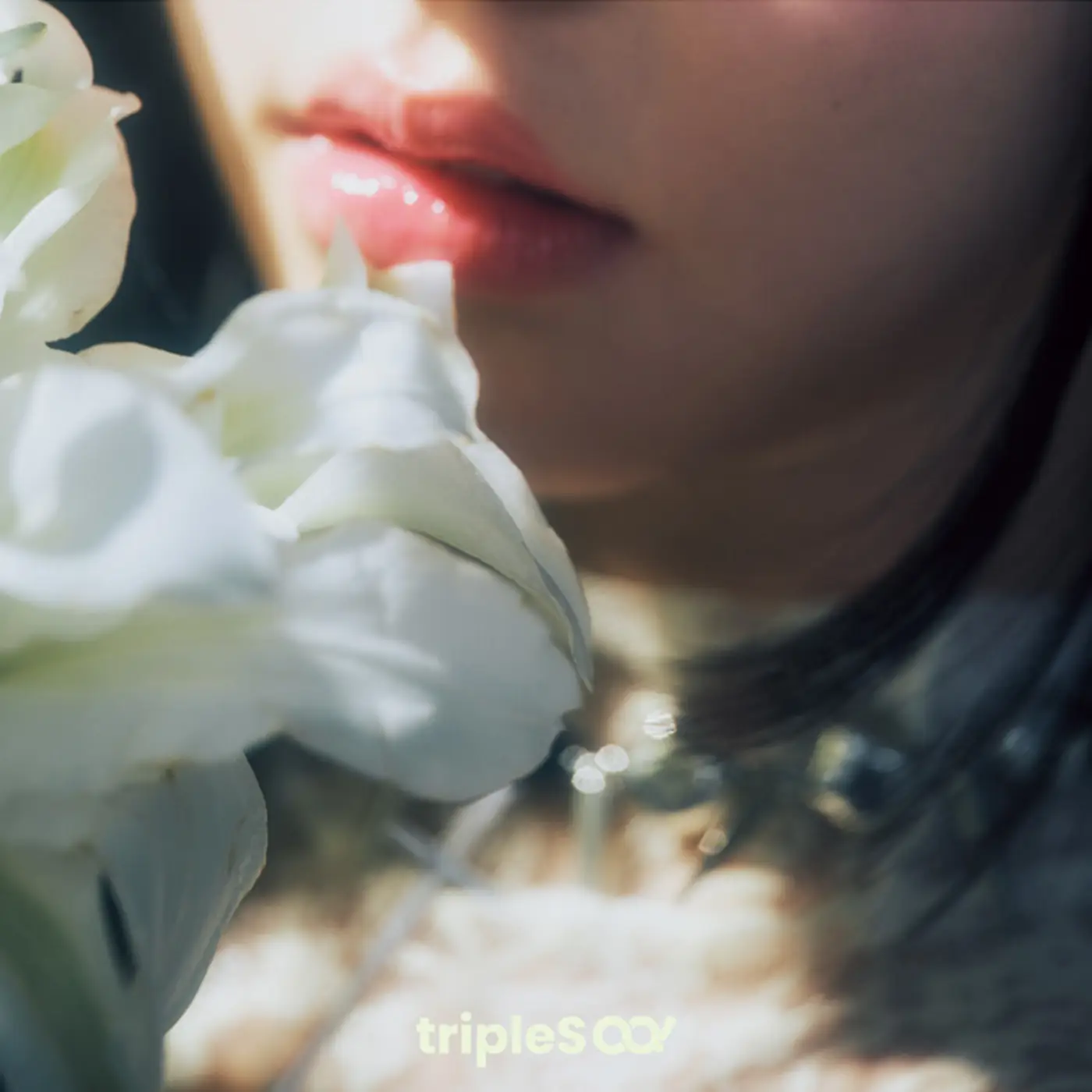 TRIPLES HACCHI! - Untitled - Japan 1st album - Image 3